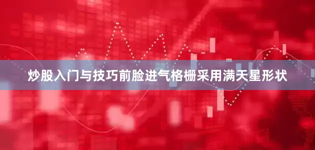 炒股入门与技巧前脸进气格栅采用满天星形状